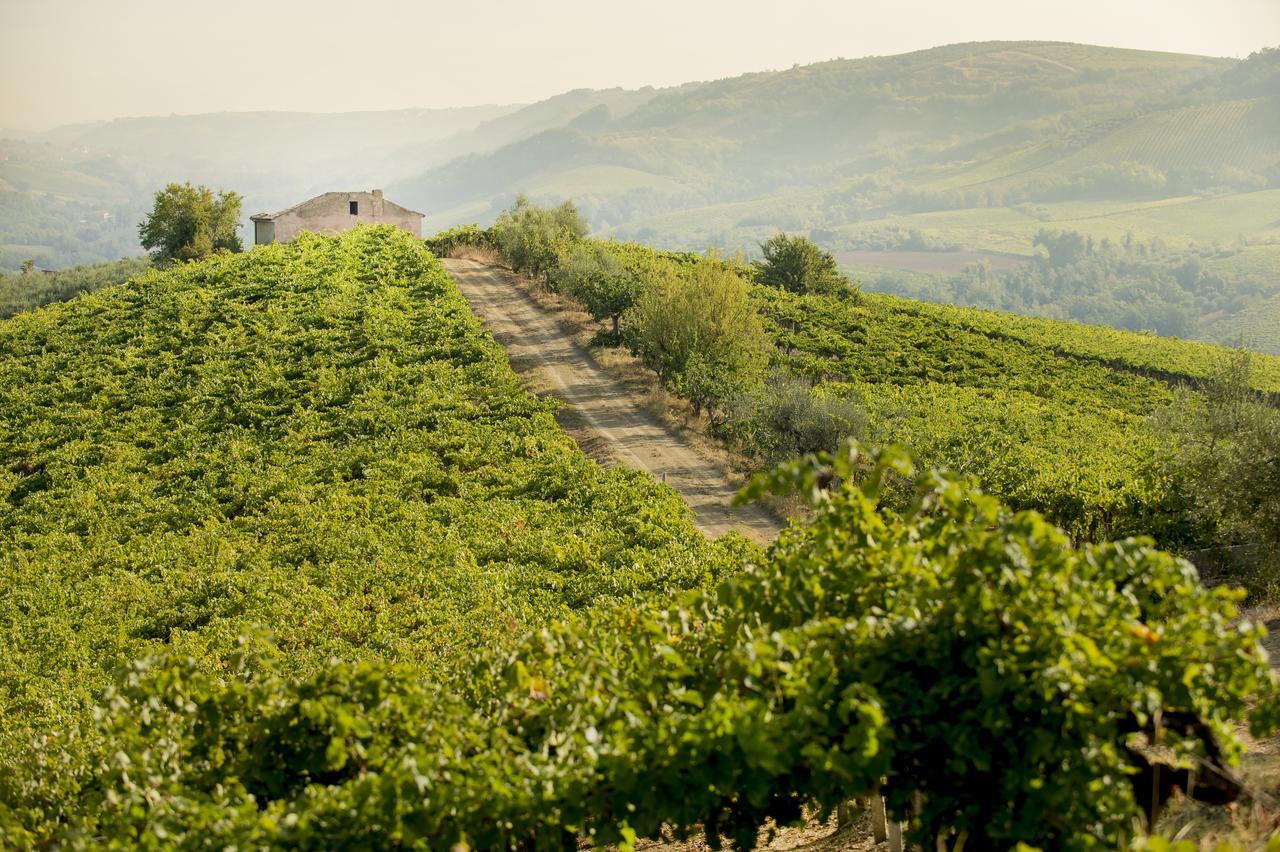 Baldovino B&B Villamagna  Dış mekan fotoğraf